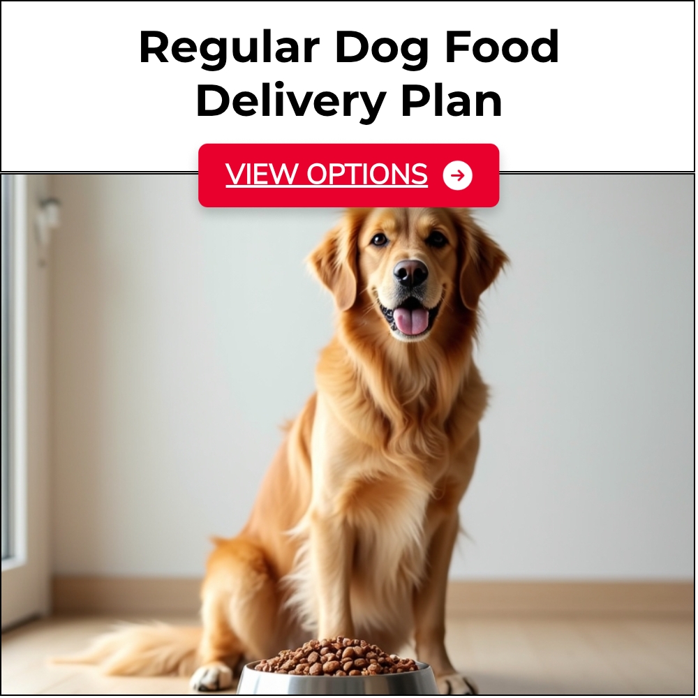 ExploreAnswers Corridor Facebook ad: Ever Tried A Regular Dog Food Delivery? Find Out More.