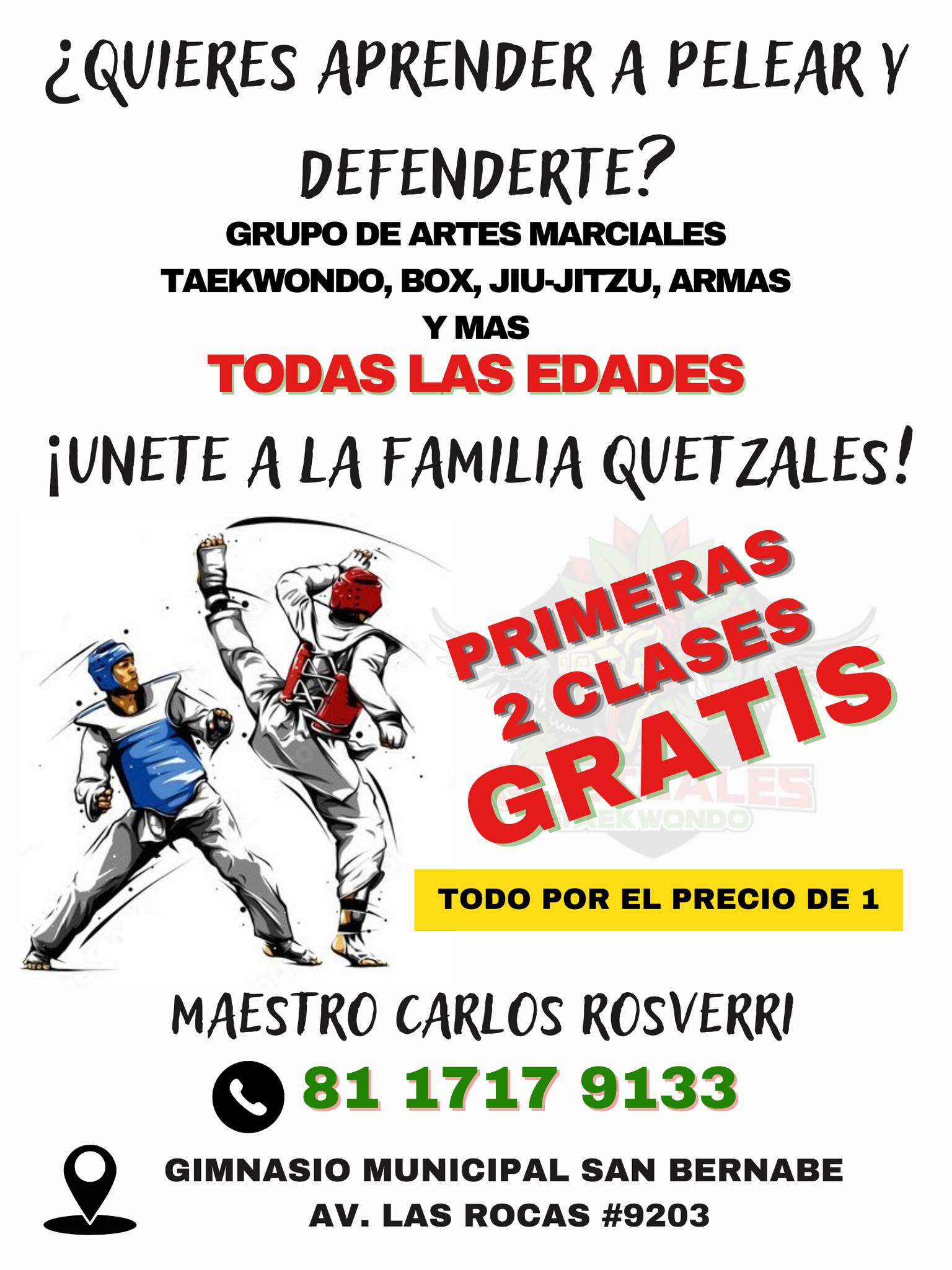 Quetzales Taekwondo 태권도 Facebook ad
