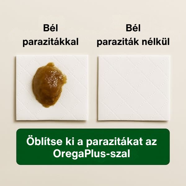 Aranykor Ház Facebook ad: Spórolj 50%-ot