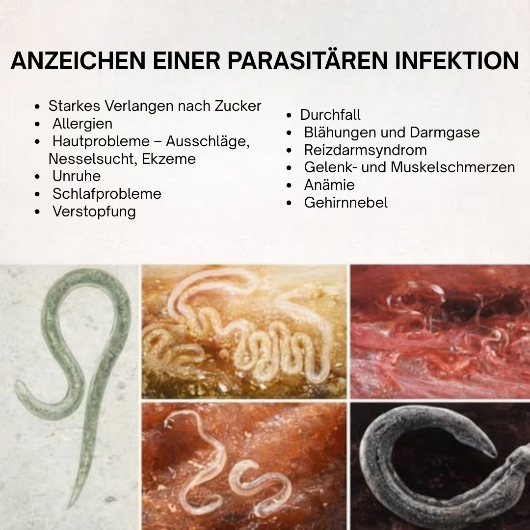 SnapHollow Facebook ad: Ivermectin & Fenbendazol