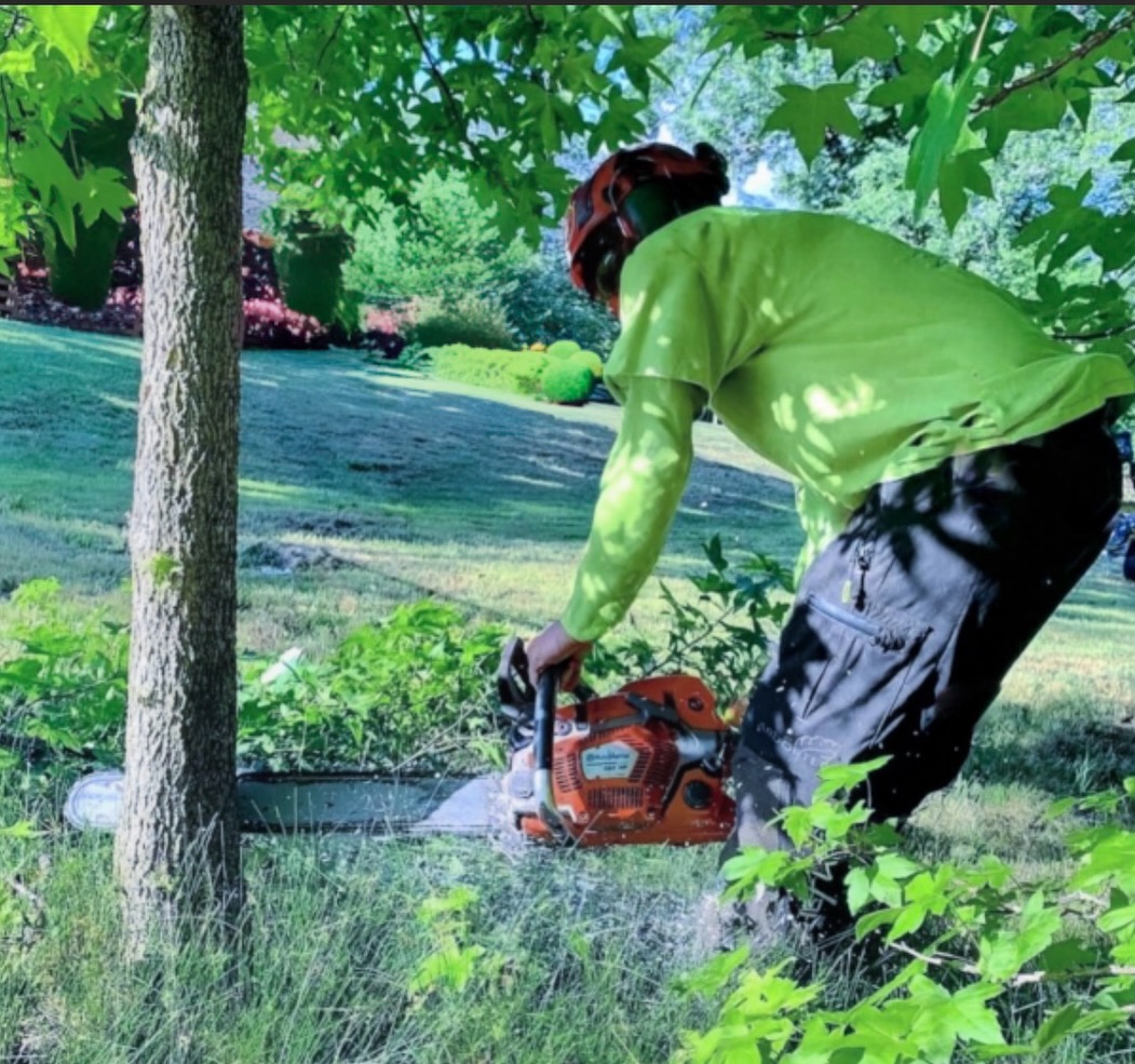Treeco Solutions - Expert Arborist Facebook ad