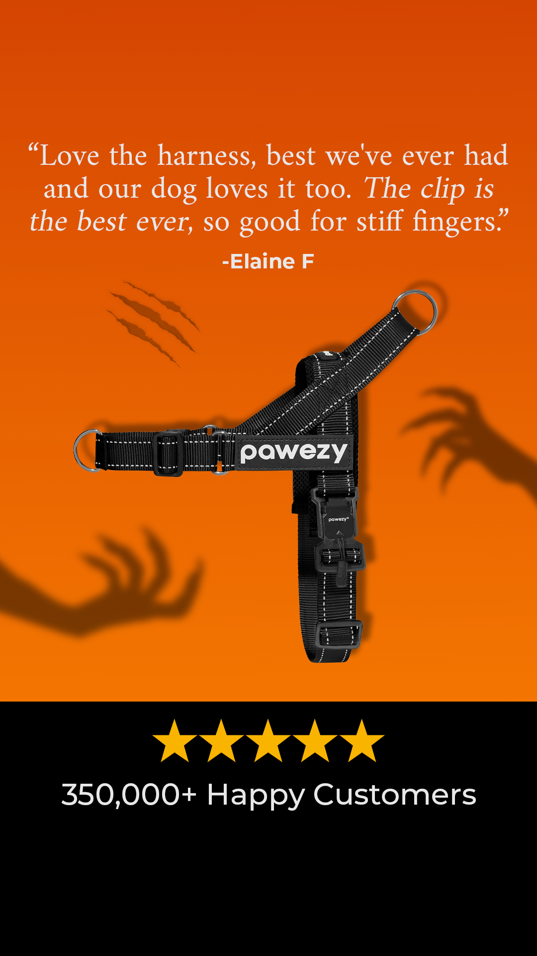 Pawezy Facebook ad
