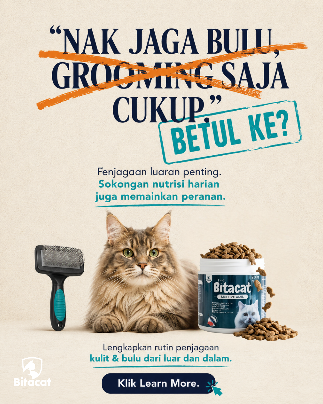 Bitacat HQ Facebook ad