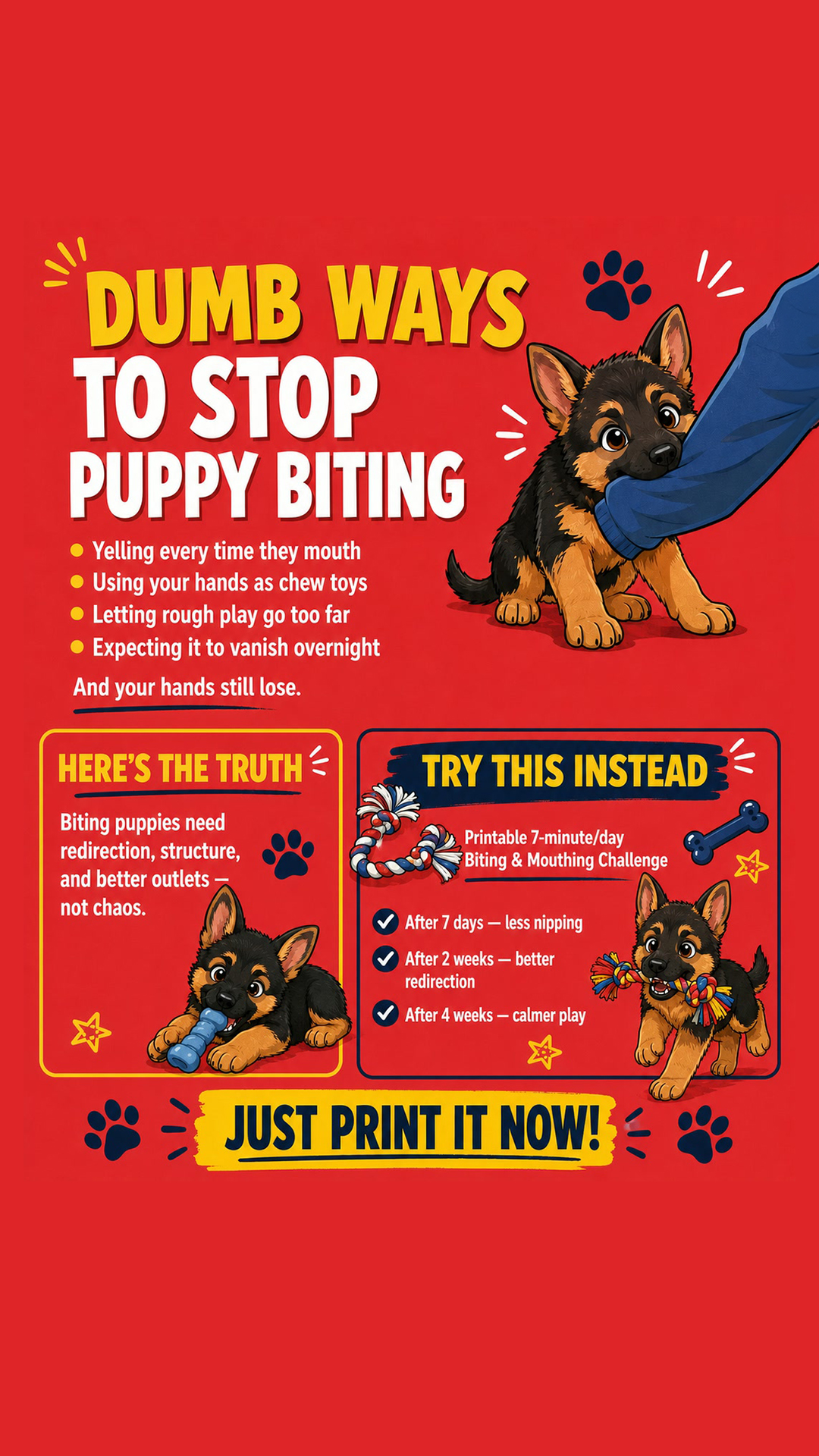 Puppy Tips for Training Facebook ad