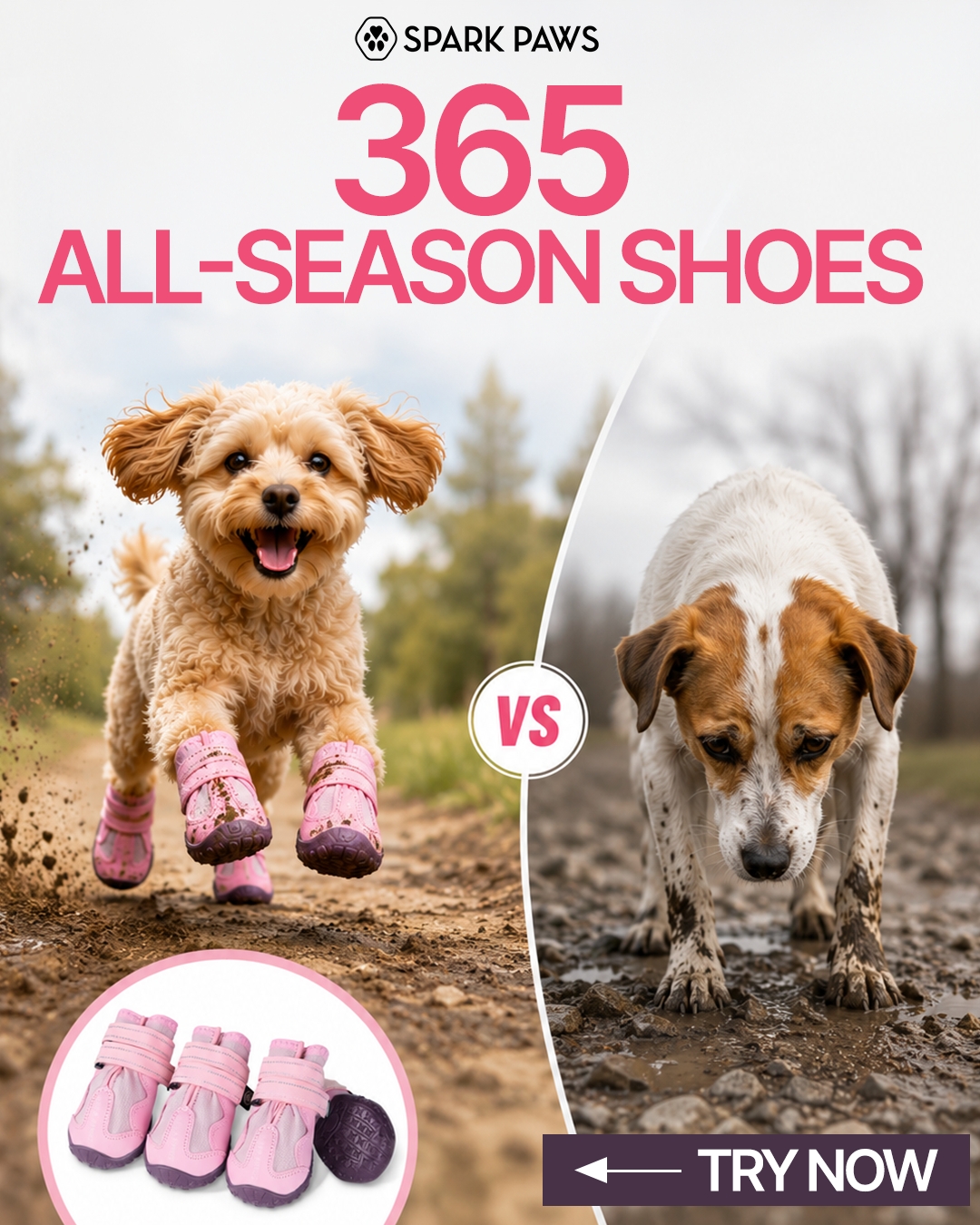 Spark Paws Facebook ad