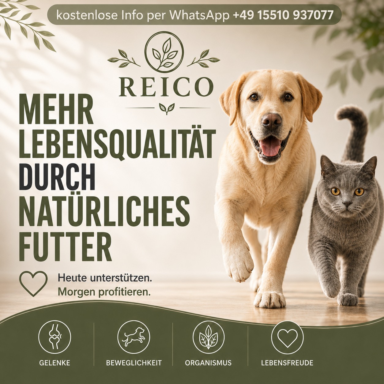 SaDo-Pfote Facebook ad: Hochwertige Tiernahrung, natürlich anders.