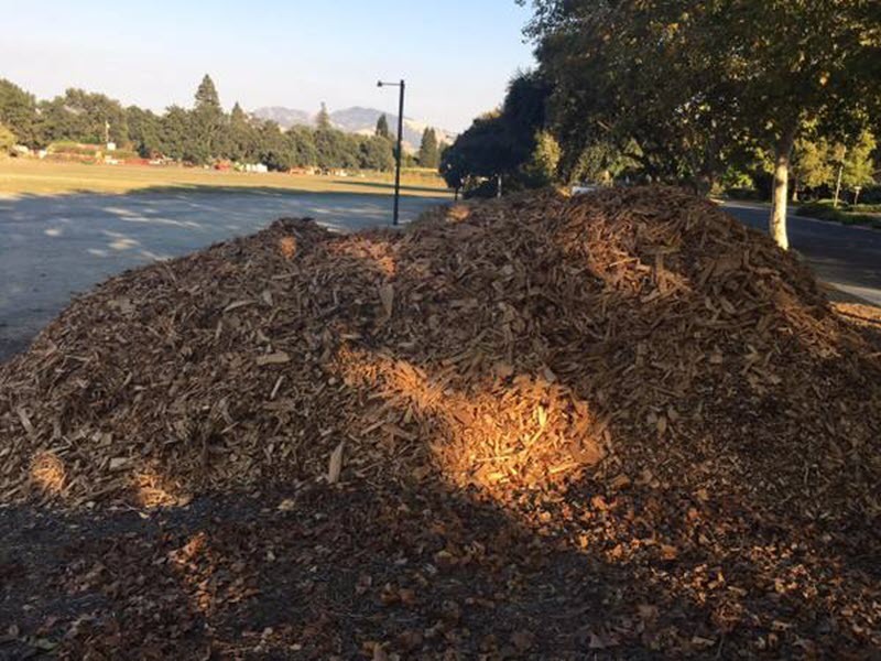 Quality Tree Care Facebook ad: FREE Woodchips and Mulch delivered to your door.