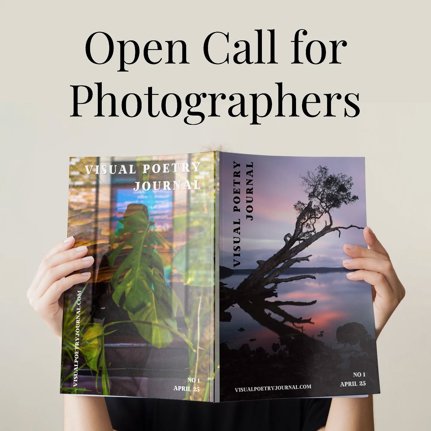 visualpoetryjournal Facebook ad