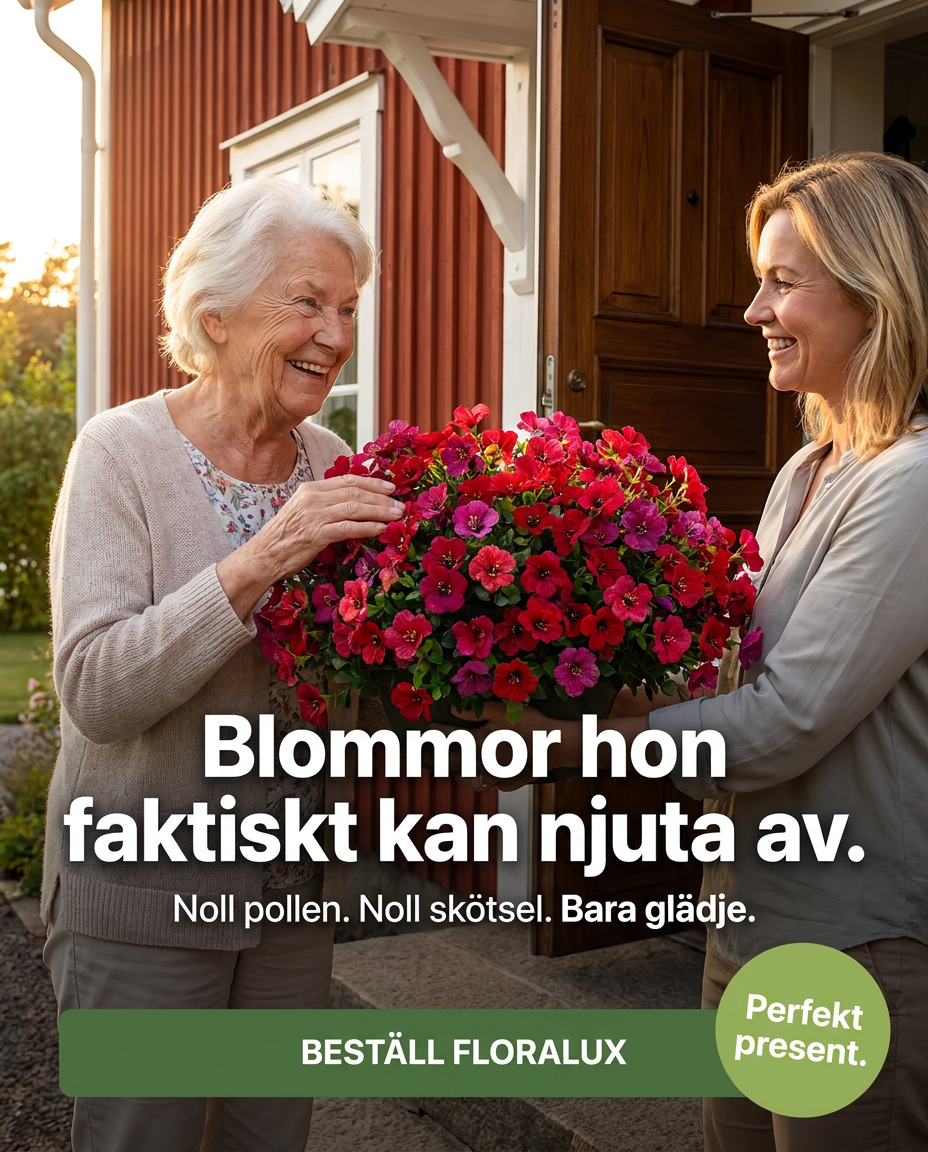 Norillo Facebook ad