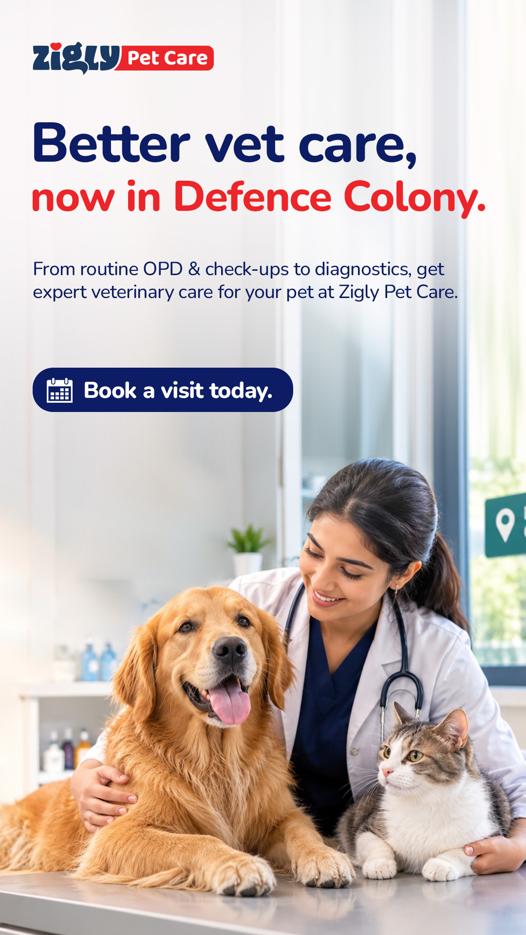 Zigly Facebook ad: Expert veterinary care, close to home.