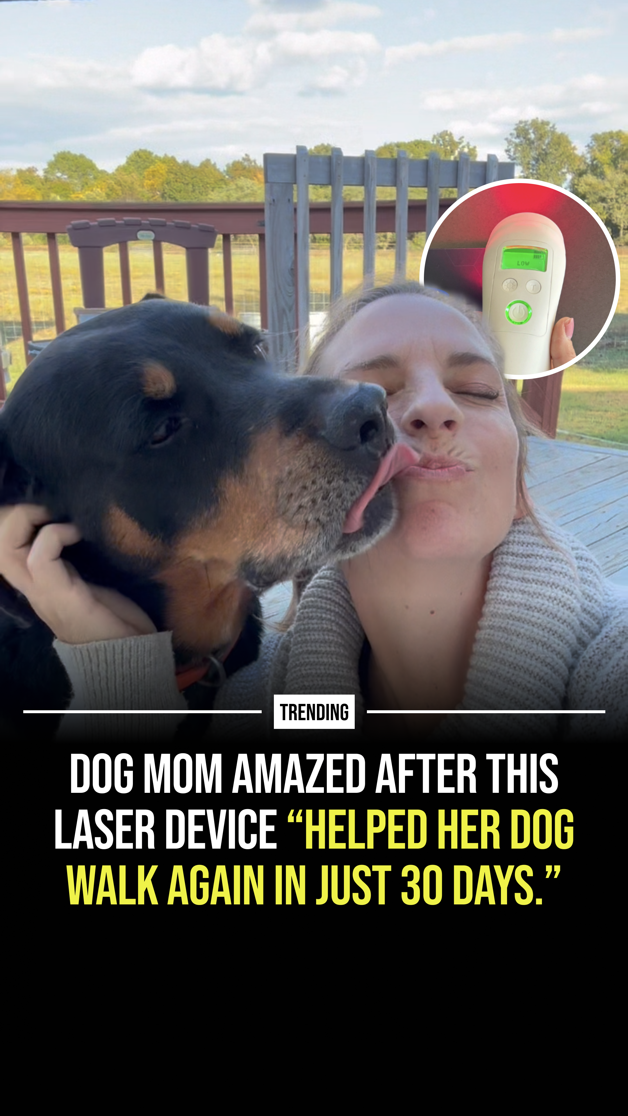 Helio Pet Facebook ad