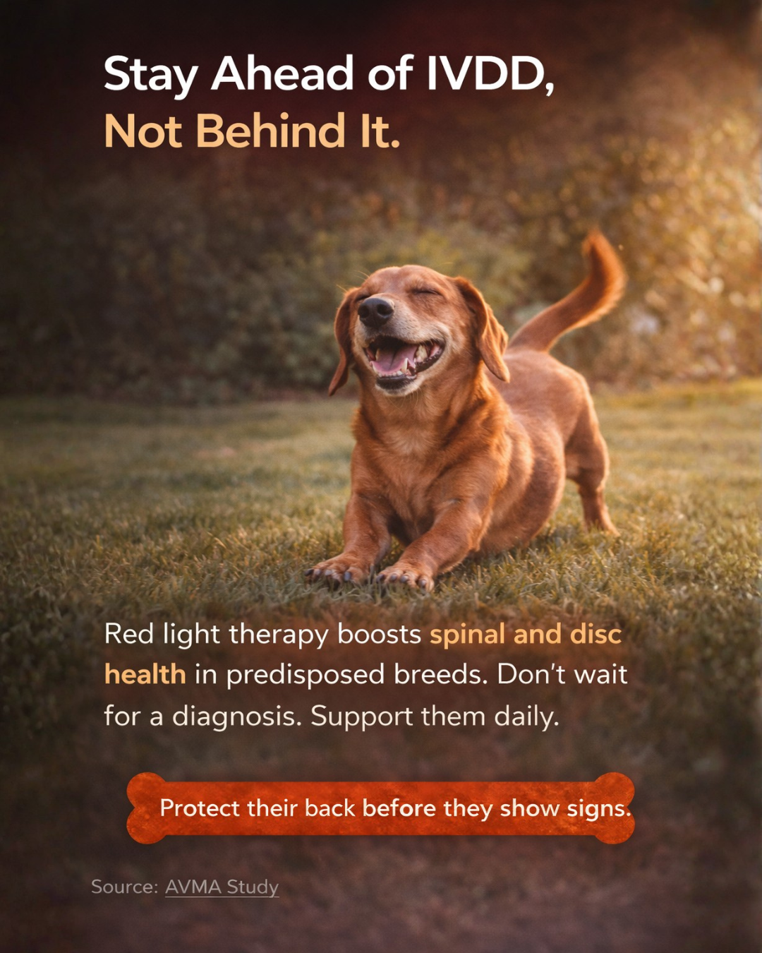Therapet Co Facebook ad