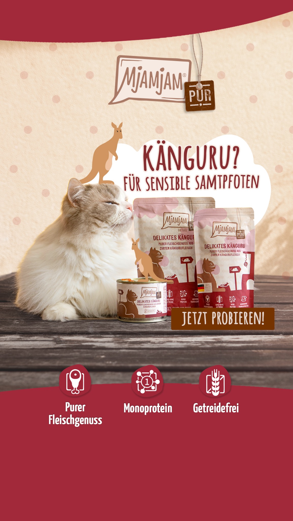 MjAMjAM Petfood Facebook ad: Starker Geschmack, leicht für den Magen