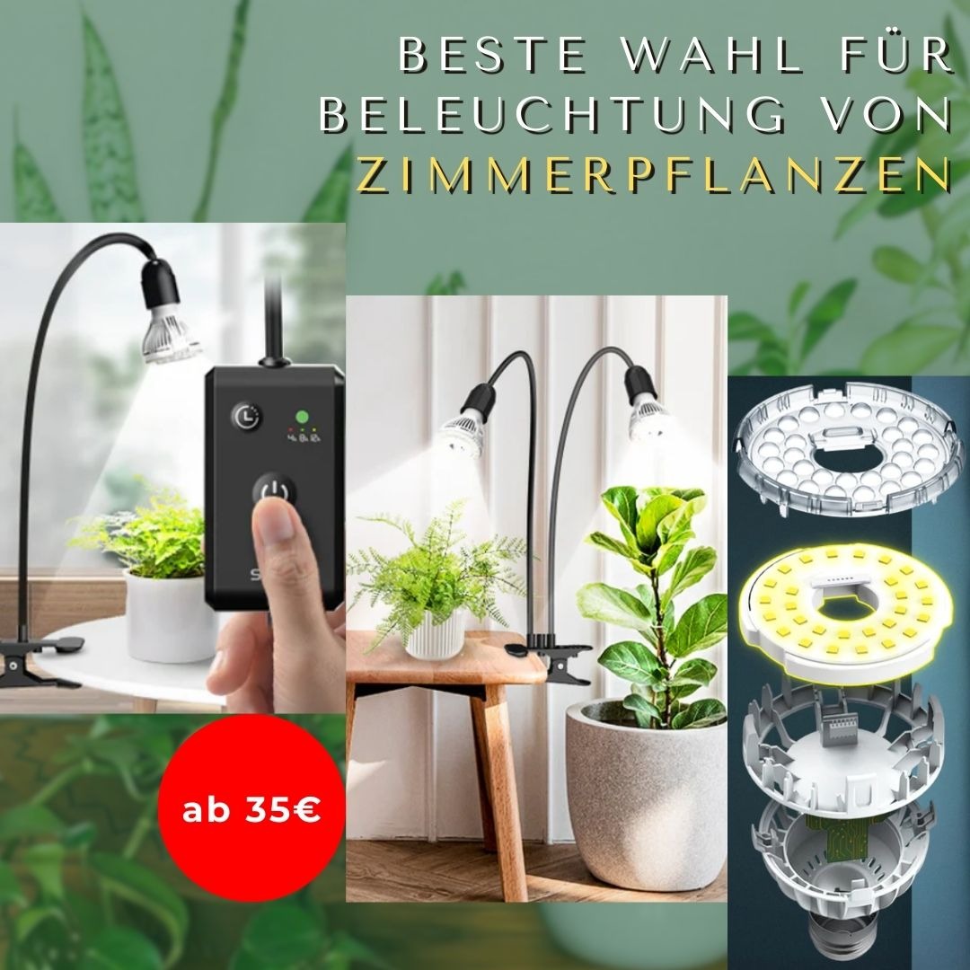 Grüngarten Facebook ad