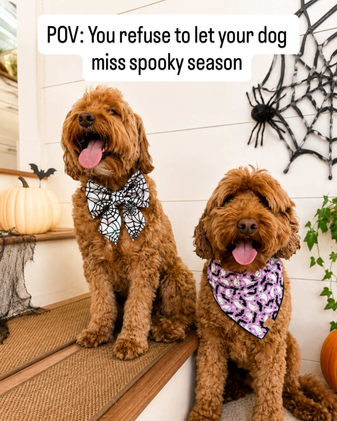 The Foggy Dog Facebook ad