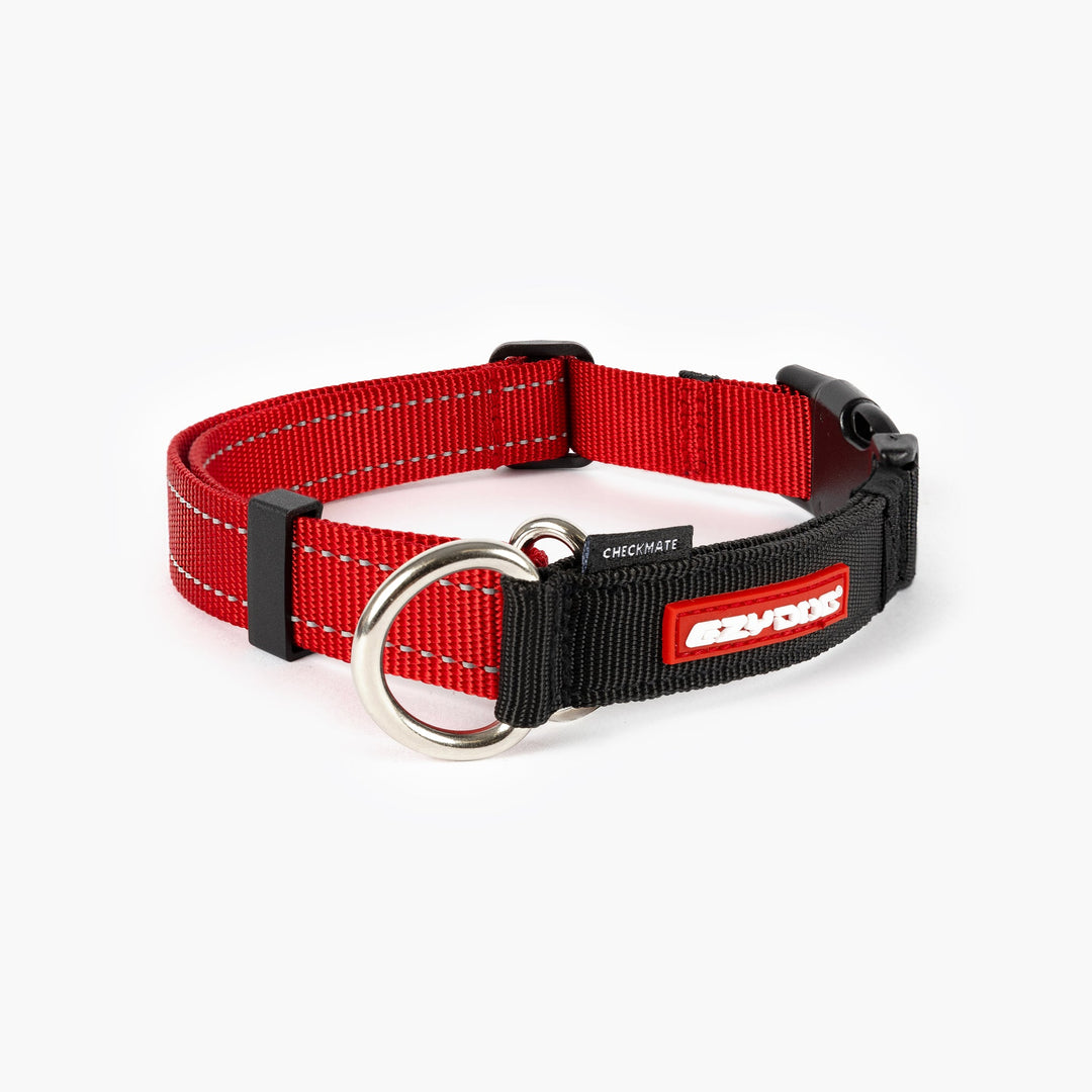 EzyDog UK Facebook ad