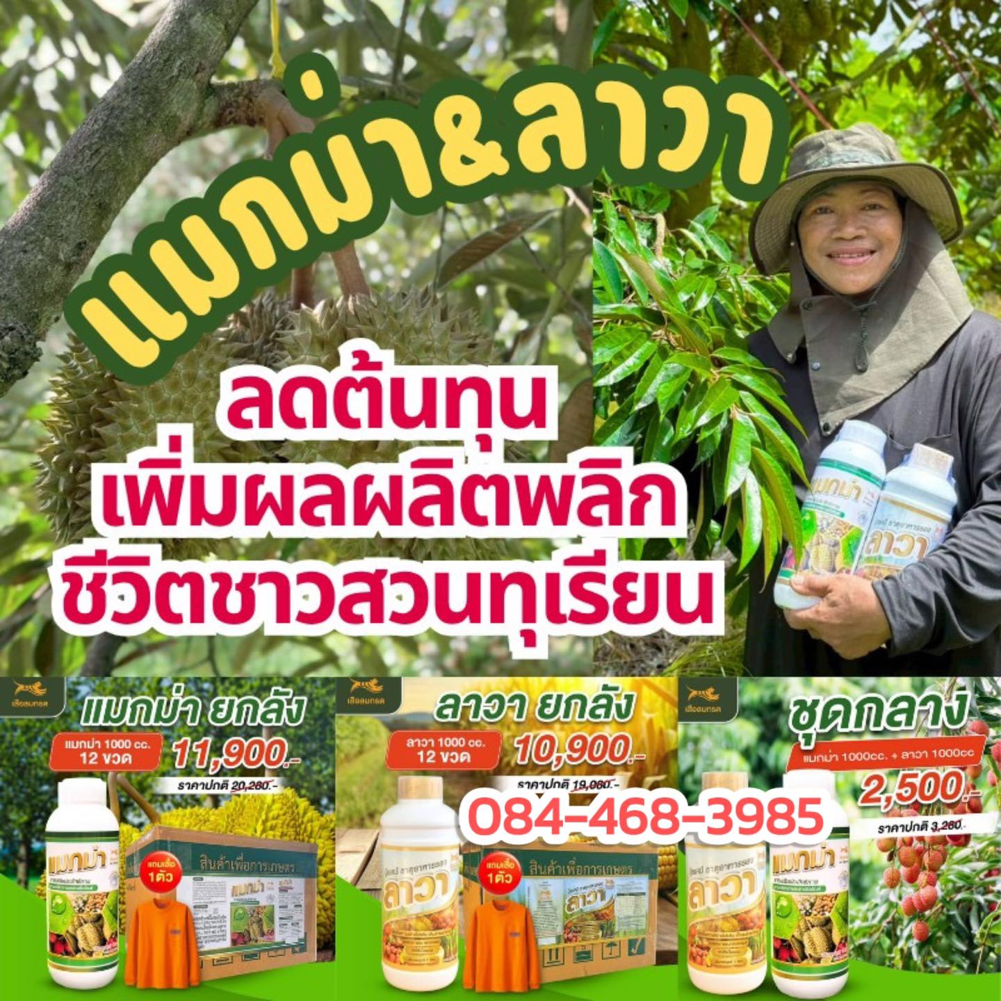 ศูนย์จำหน่าย แมกม่า ลาวา เกษตรยุคใหม่ Facebook ad: อาการใบเหลือง ใบหงิกงอ หรือใบร่วงหล่น ผสมแม็กม่าลาวา…