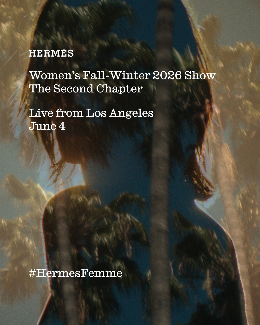 Hermès Facebook ad