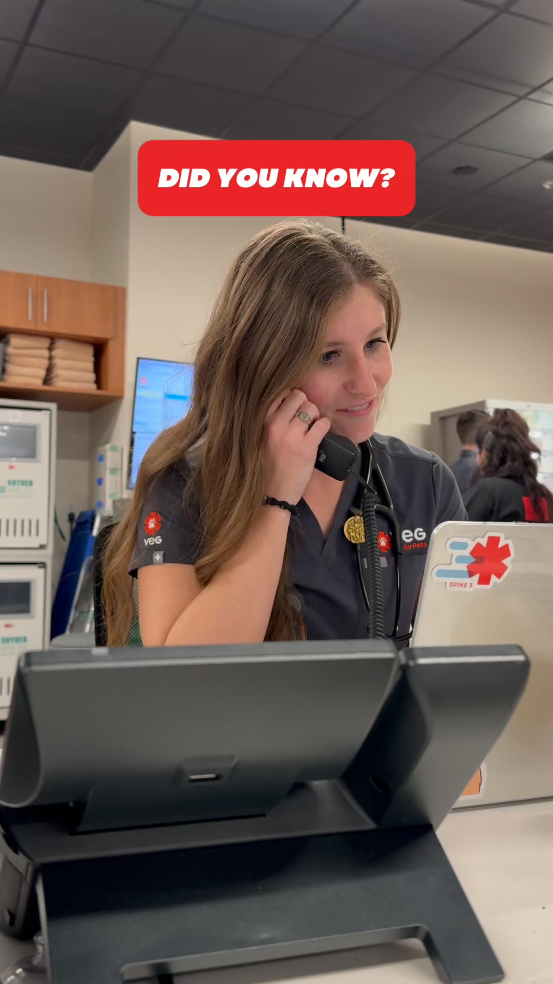 VEG ER for Pets Facebook ad: Call an ER Doctor, 24/7