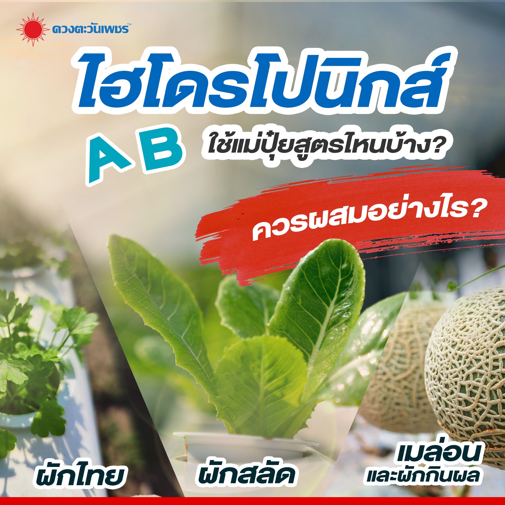 ดวงตะวันเพชร ปุ๋ยเกล็ด ปุ๋ยไฮโดรโปนิกส์ ปุ๋ยระบบน้ำหยด peatm๐ss ฮอร์โมนพืช Facebook ad
