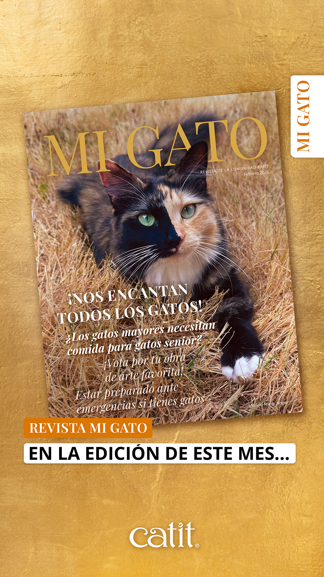 Catit España Facebook ad