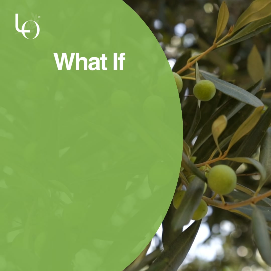 LO - Loralai Olives Facebook ad: Pakistan's Favorite Award Winning Olive Oil