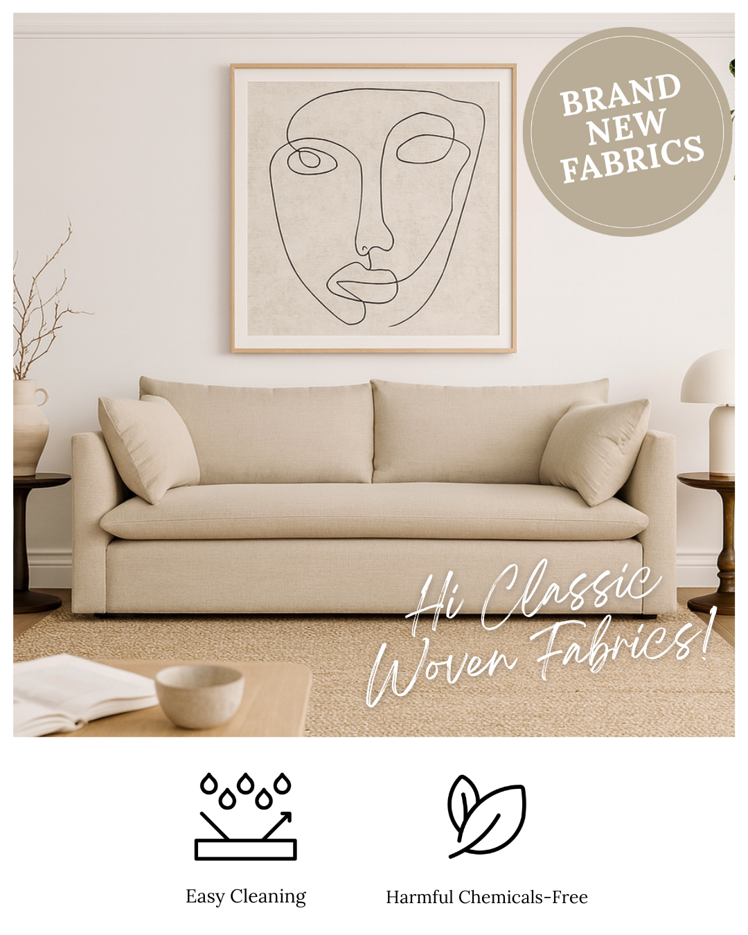 Zorora Sofas Facebook ad