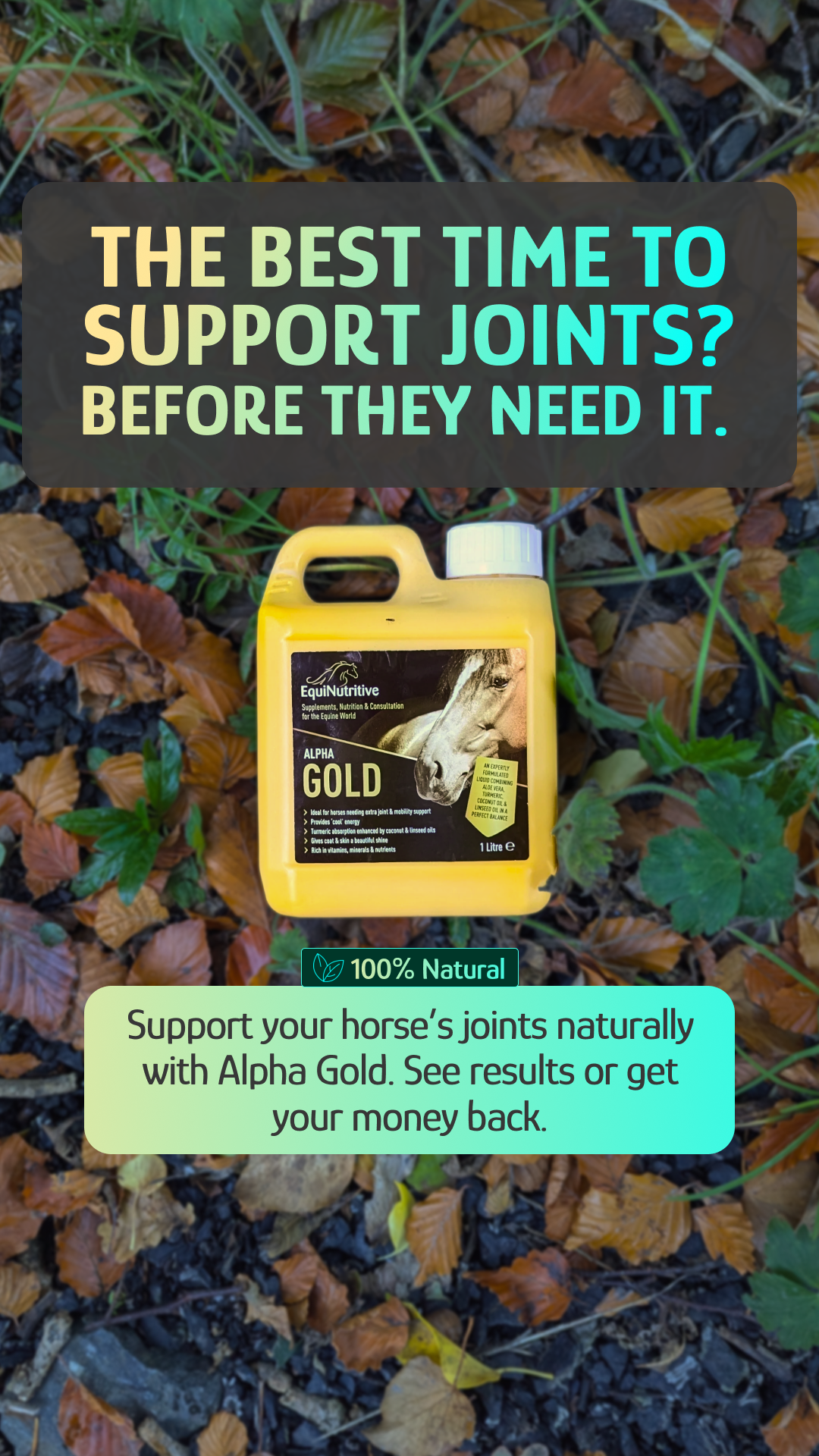 EquiNutritive Facebook ad