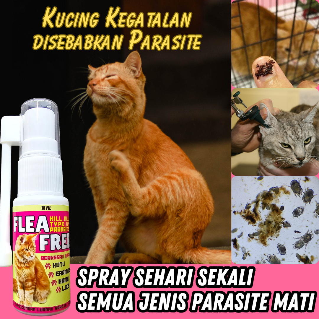 Pet Flea Free Facebook ad