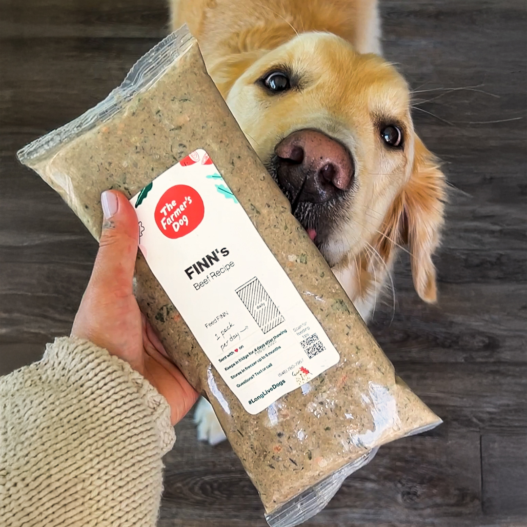 Ultimate Dog Parent Guide Facebook ad