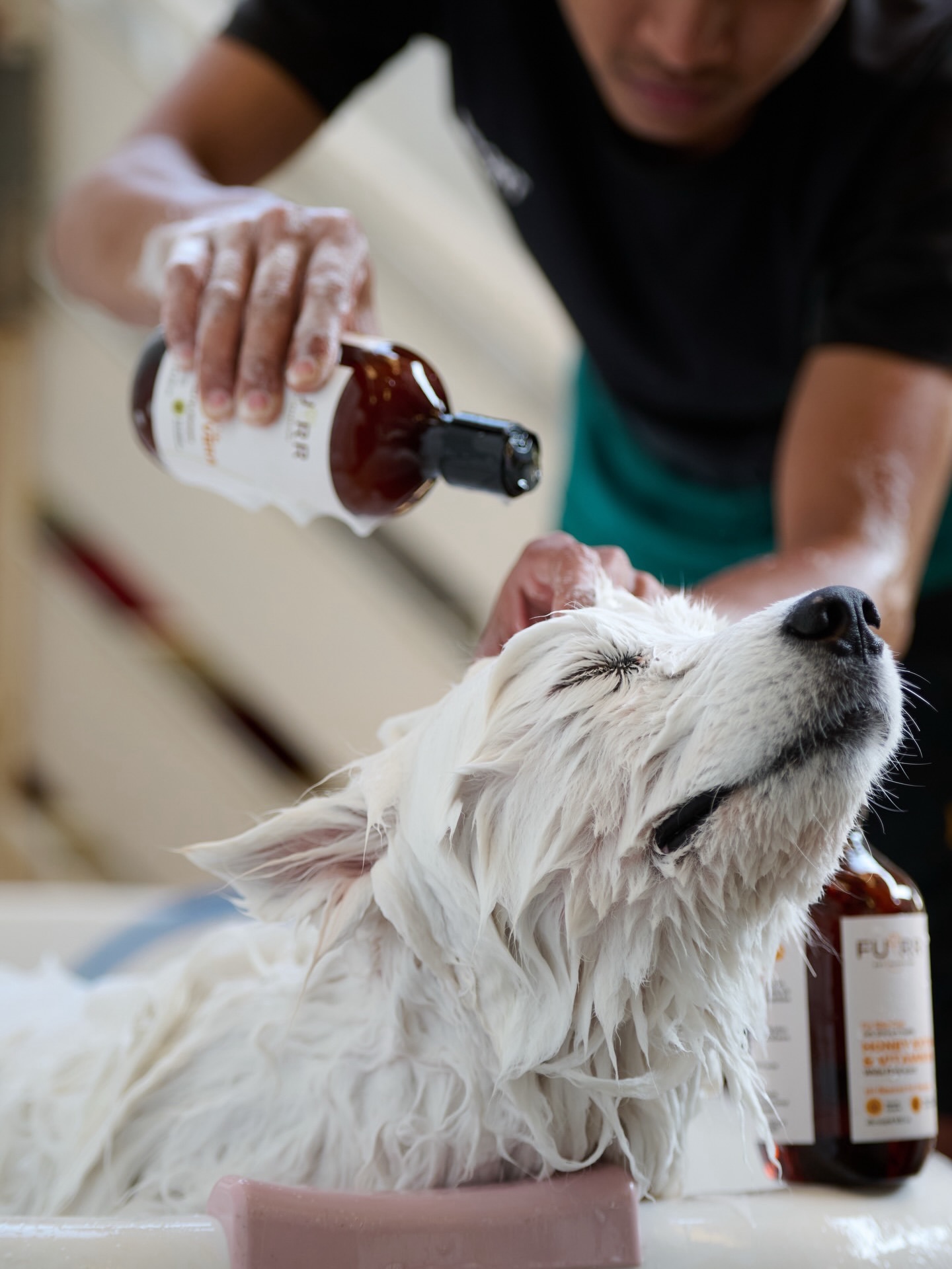 Furr petessentials Facebook ad