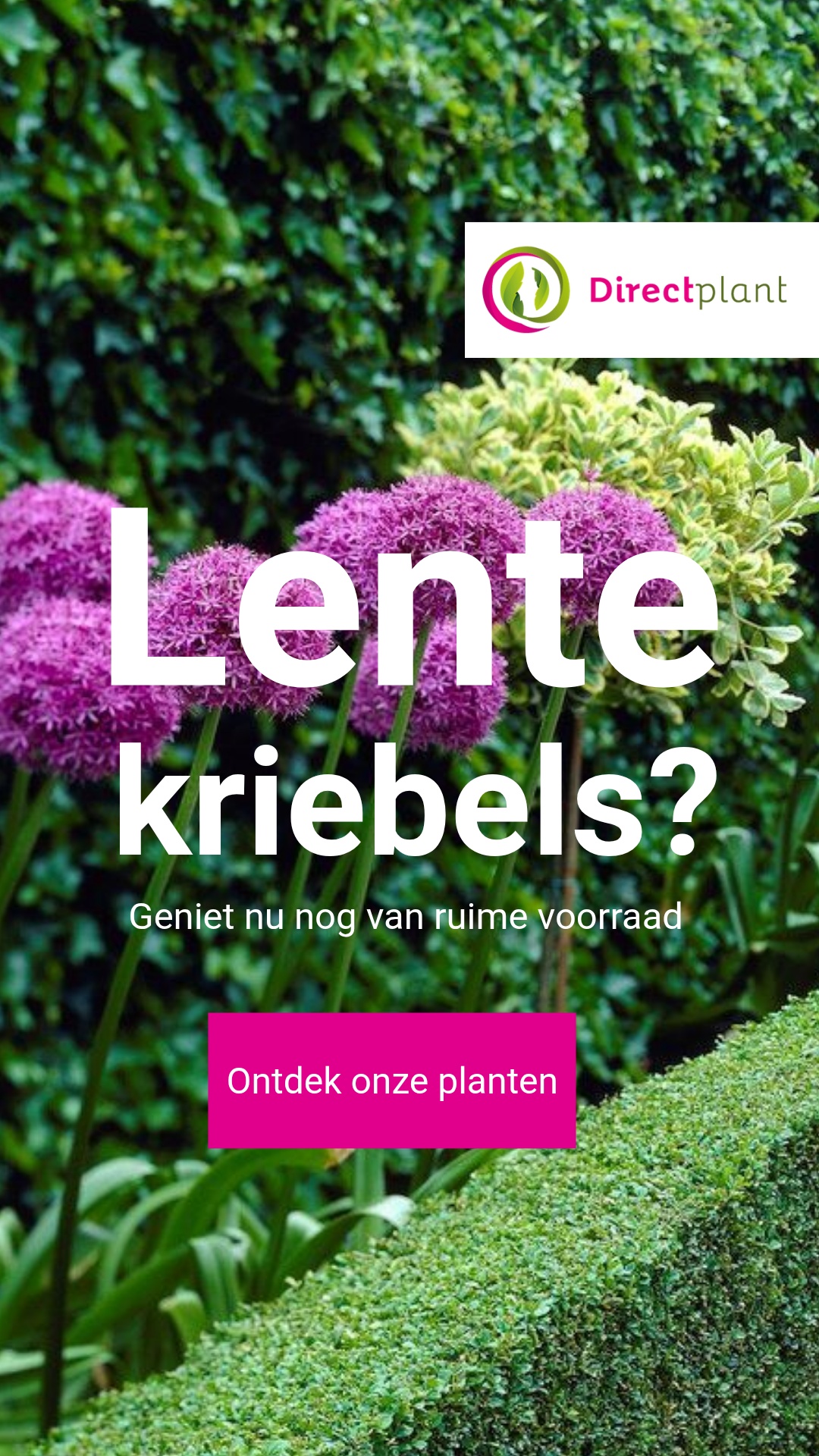 Directplant Facebook ad