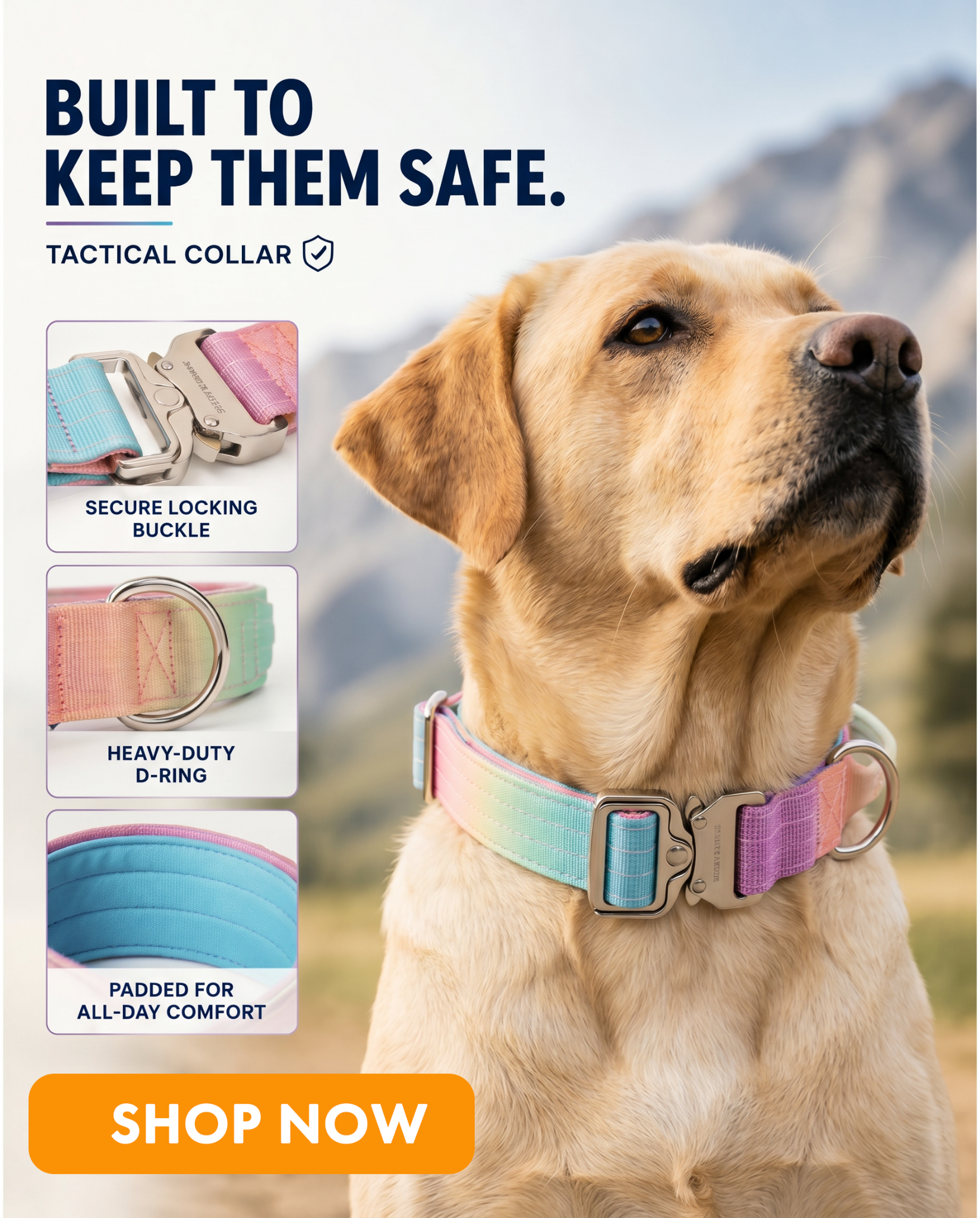 Spark Paws Facebook ad