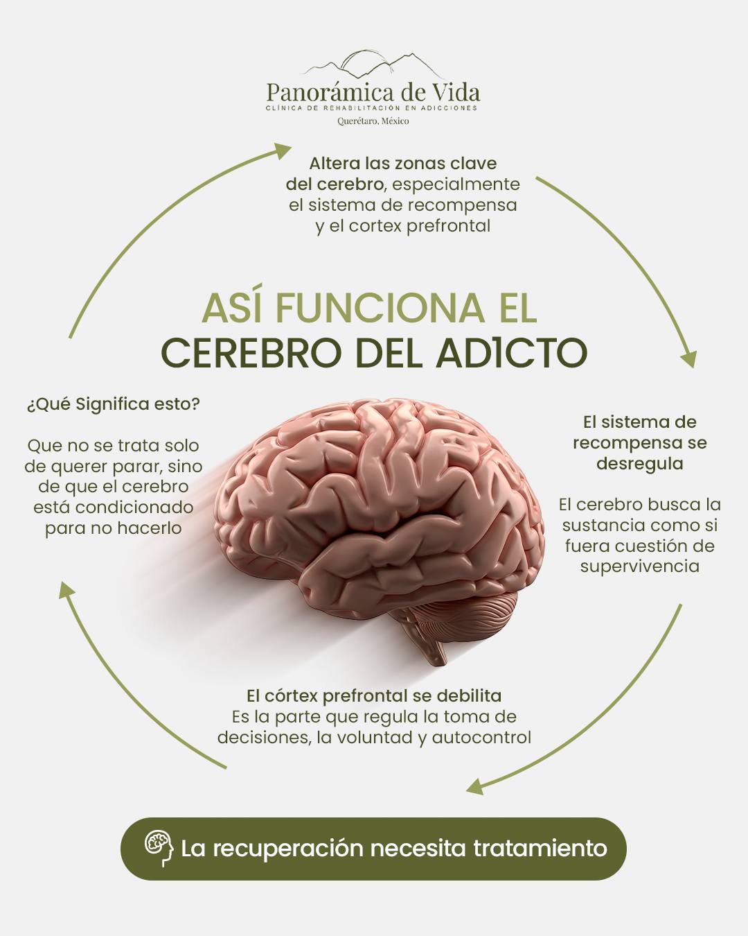 Panorámica de Vida Facebook ad: Clínica de Rehabilitación en Querétaro - Panorámica de…