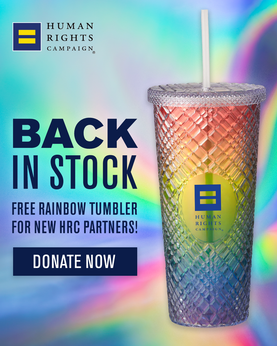 Human Rights Campaign Facebook ad