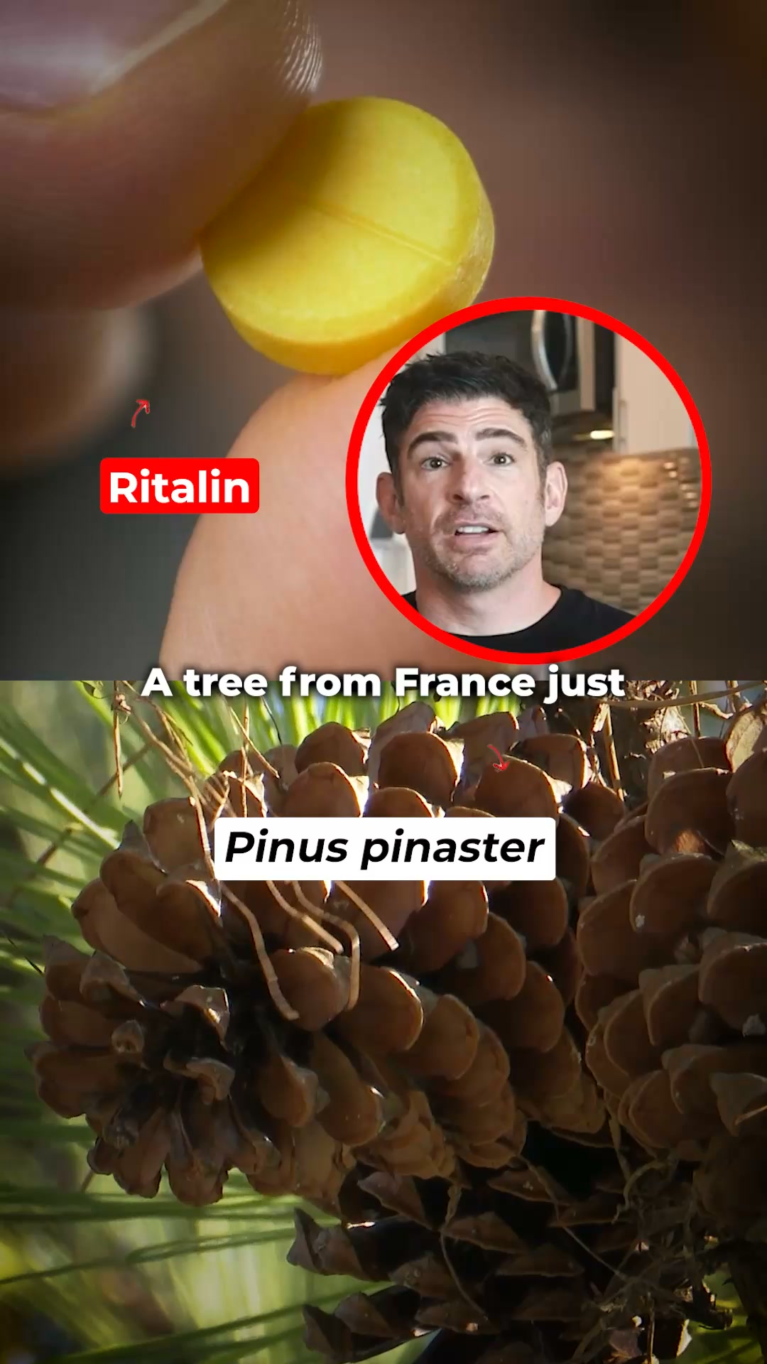 Aspire Nutrition Facebook ad: Imagine A Tree That Went Toe-To-Toe With A Pill