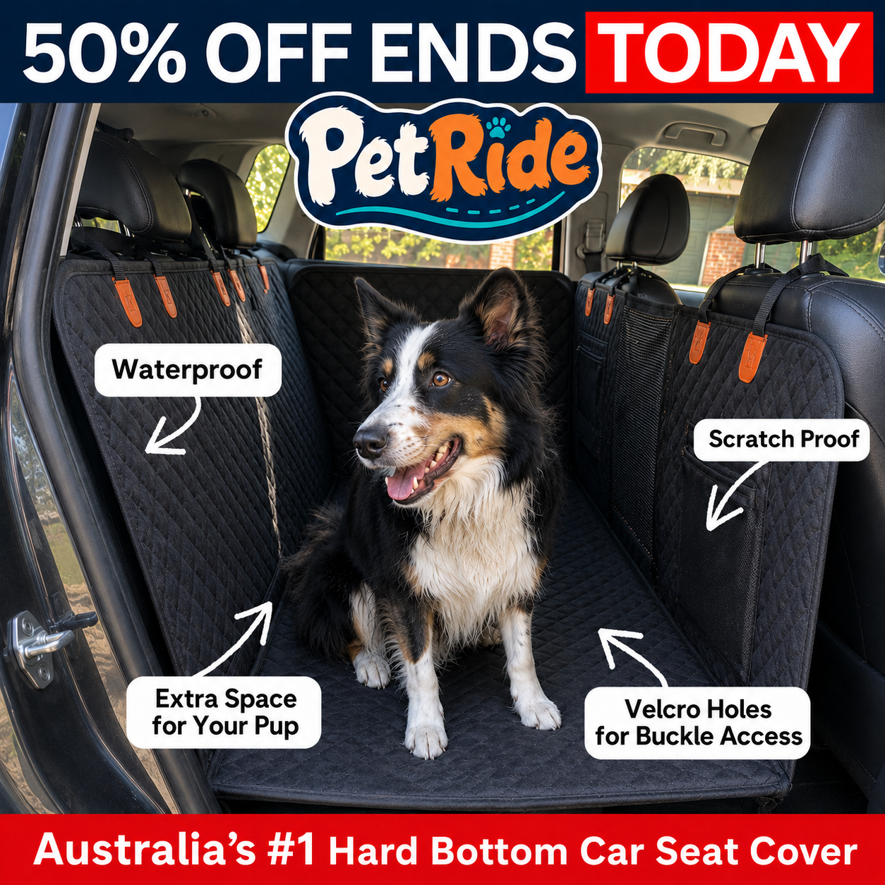 Pet Ride Facebook ad