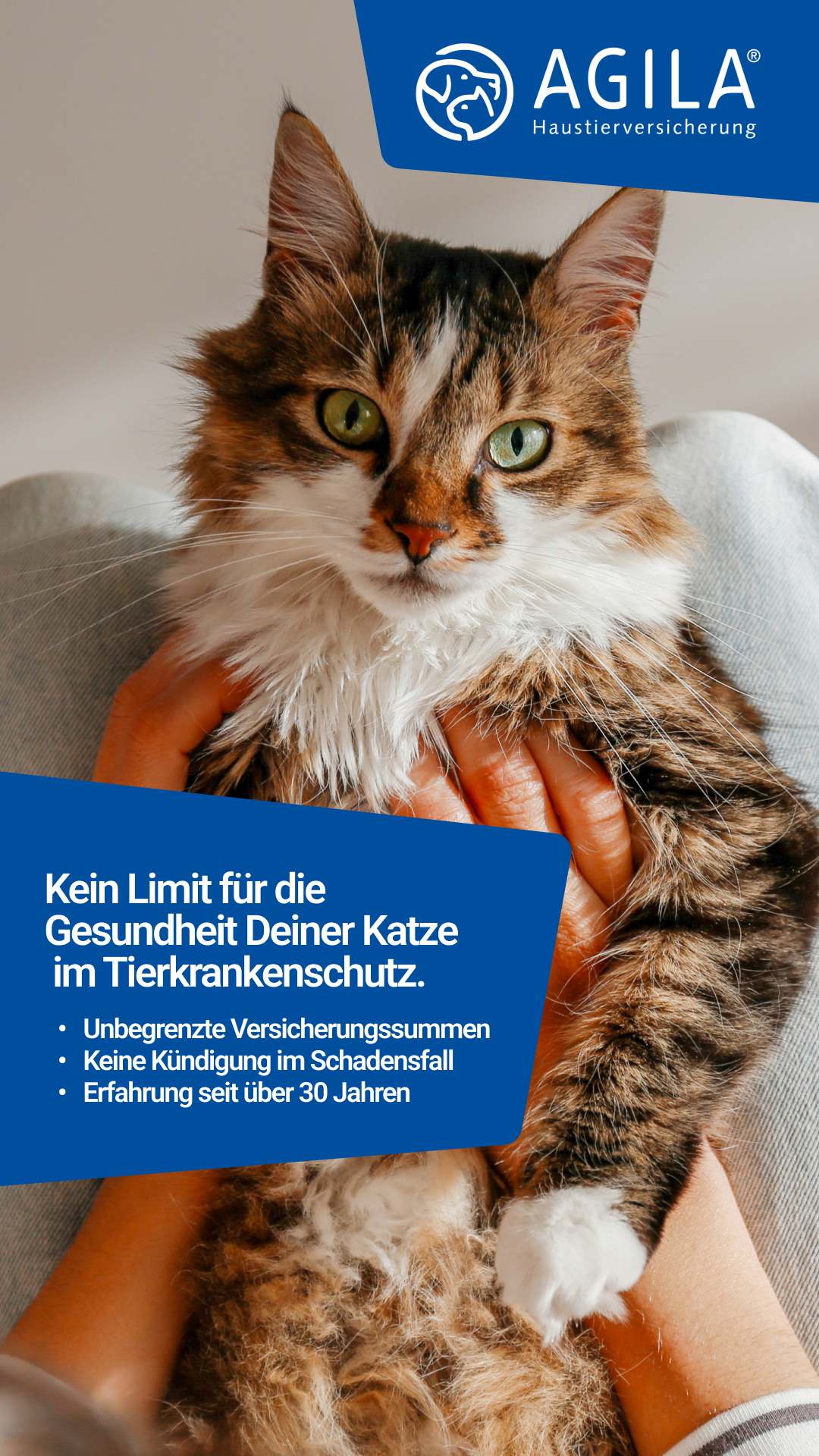 AGILA Haustierversicherung Facebook ad: AGILA Katzenversicherung