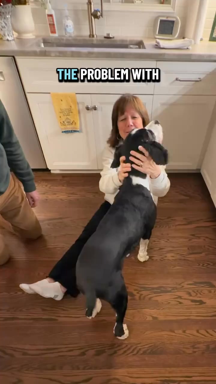 My Boy Rudder Facebook ad: UnKibble, Try for 50% Off Today