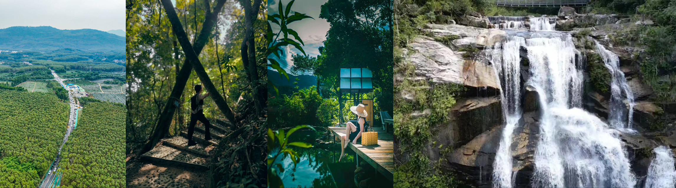 Show Me China Facebook ad: Follow the Hainan Tropical Rainforest National Park Scenic…