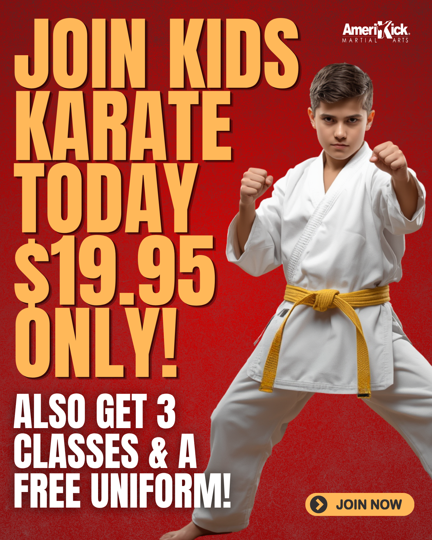 Amerikick Martial Arts Facebook ad