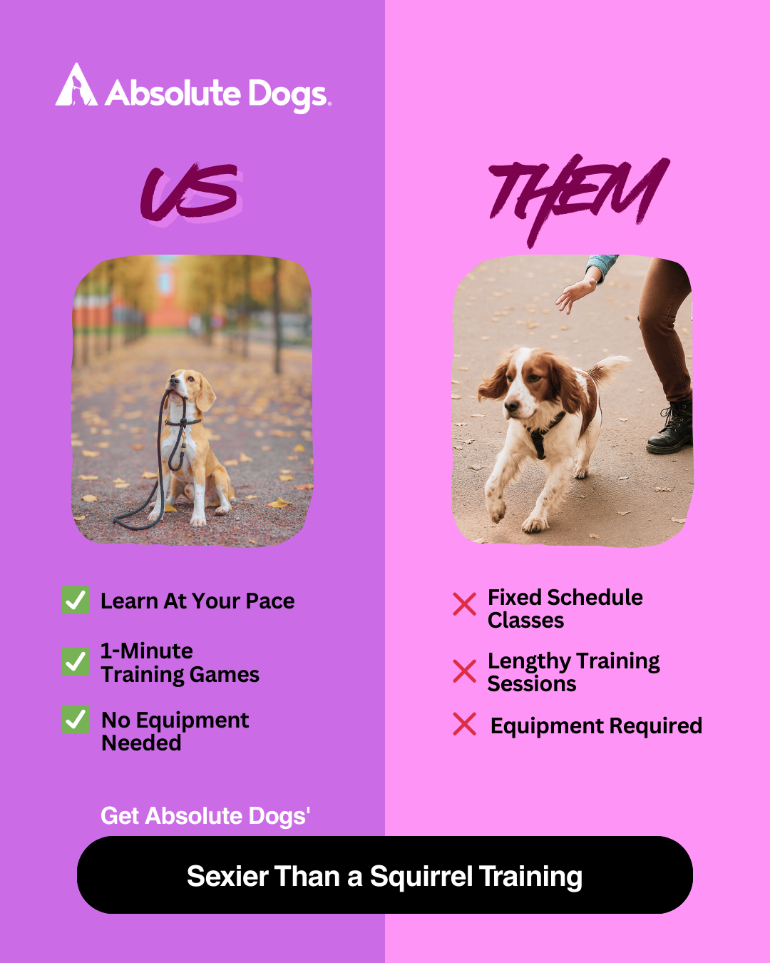absoluteDOGS Facebook ad