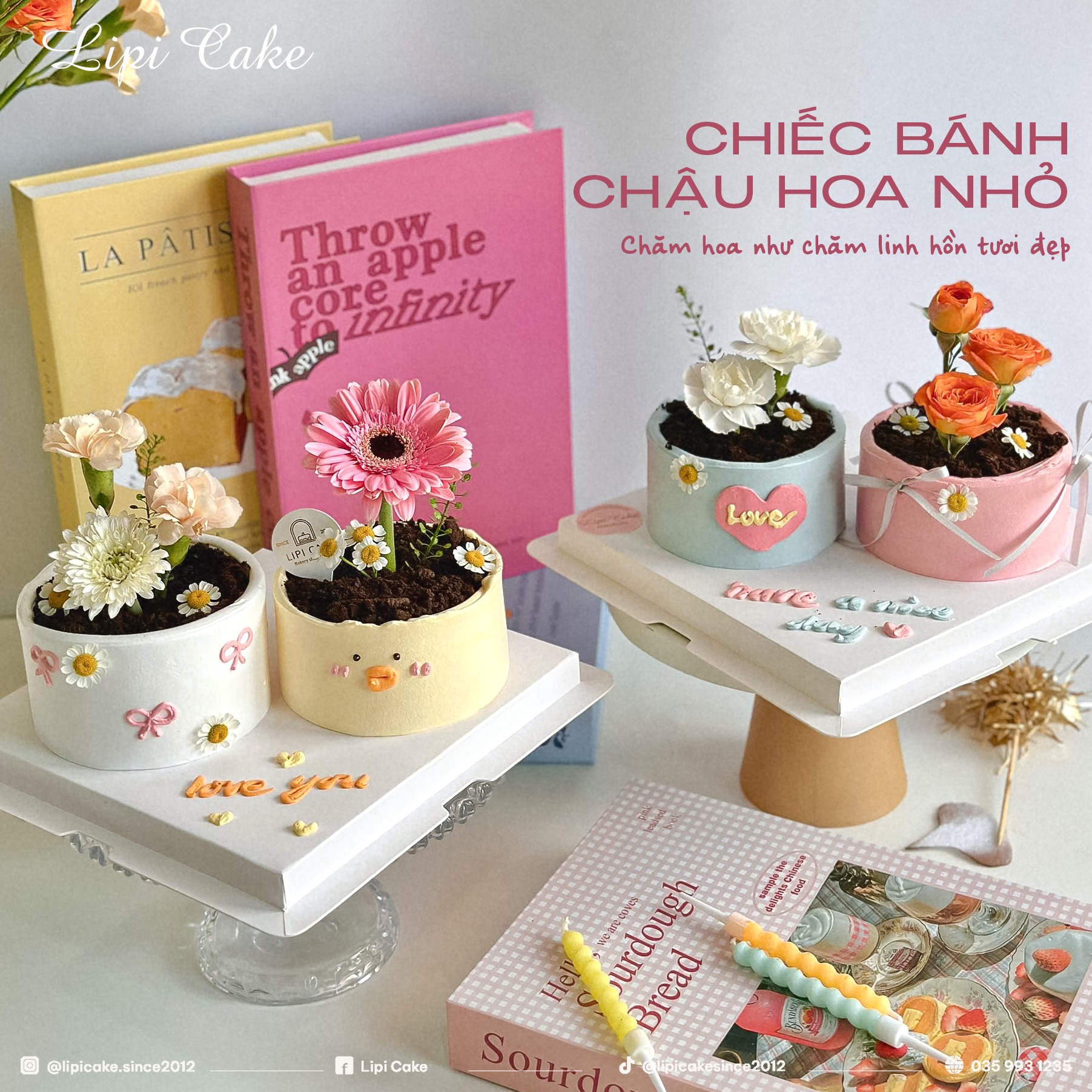 Lipi Cake Facebook ad: CHIẾC BÁNH CHẬU HOA NHỎ, MÓN QUÀ MỚI…
