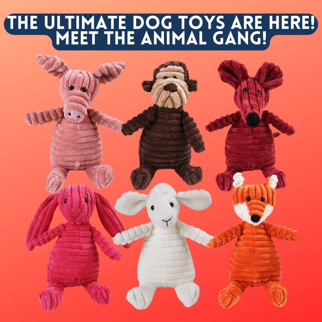 Love4MyDog Facebook ad