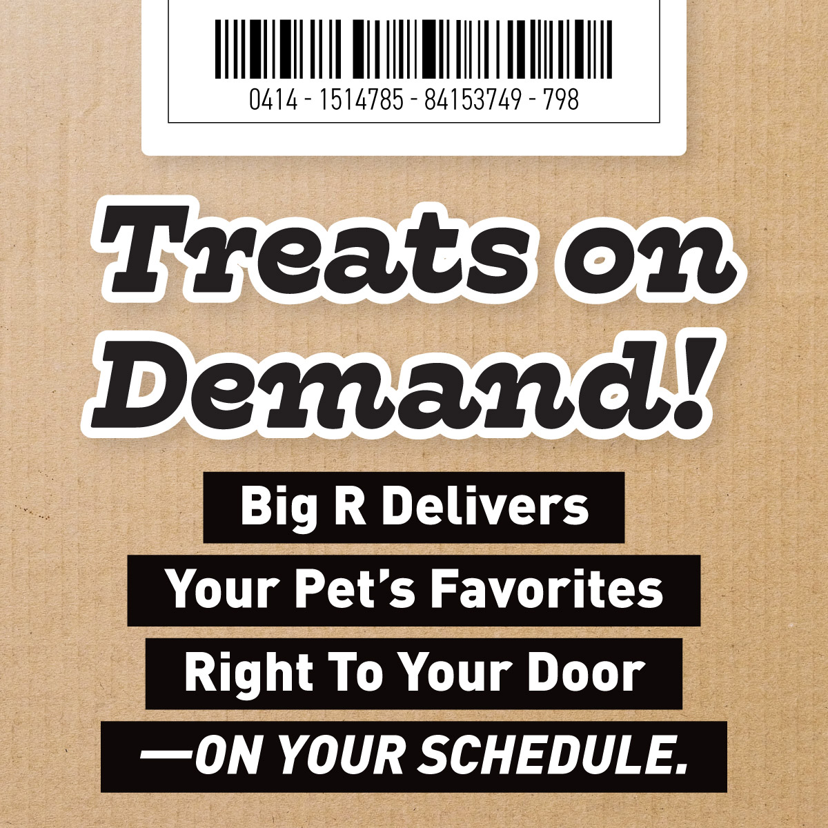 Big R Facebook ad: Big R delivers your pet’s favorites right to…
