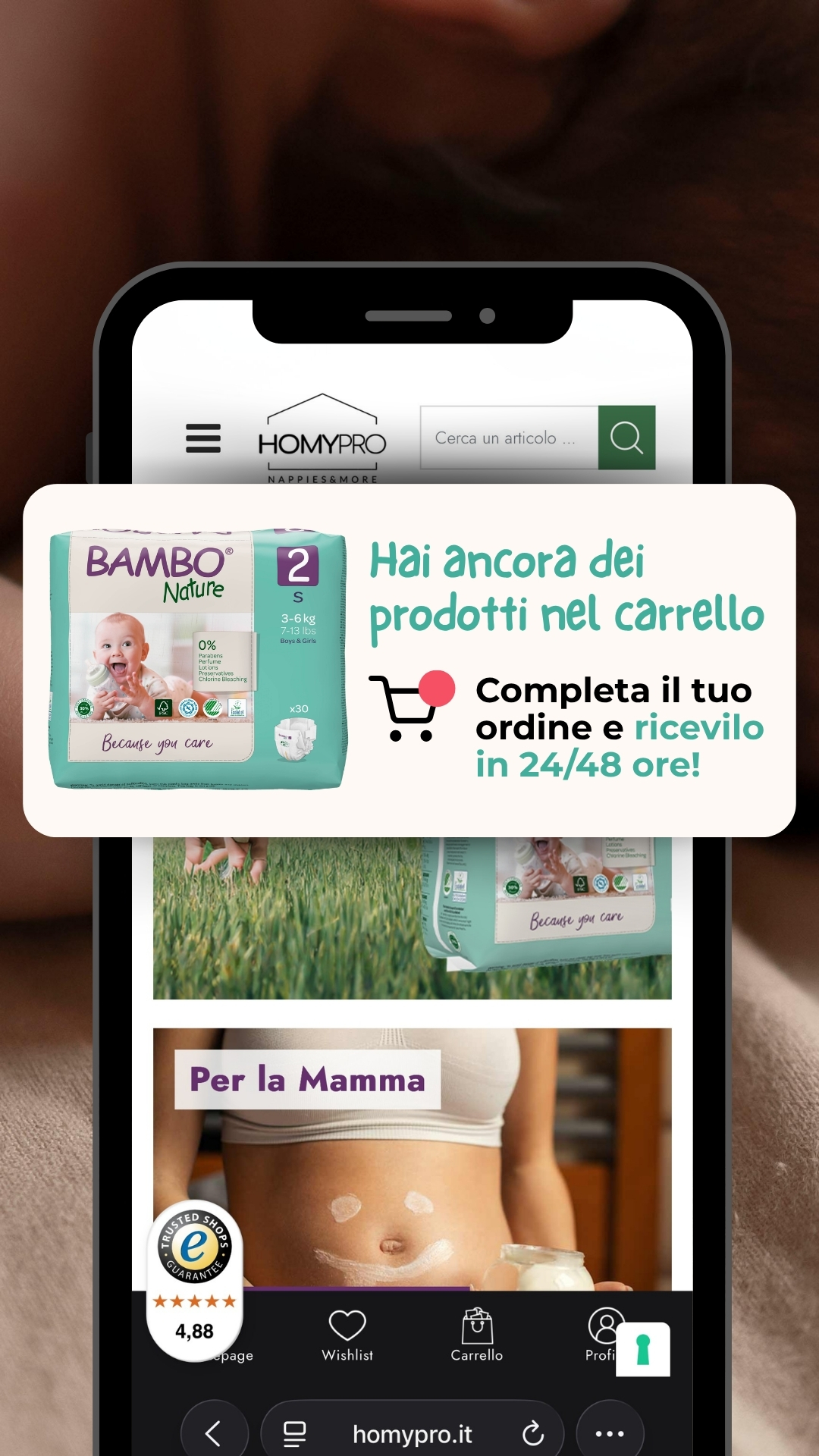 HomyPro - Italia Facebook ad