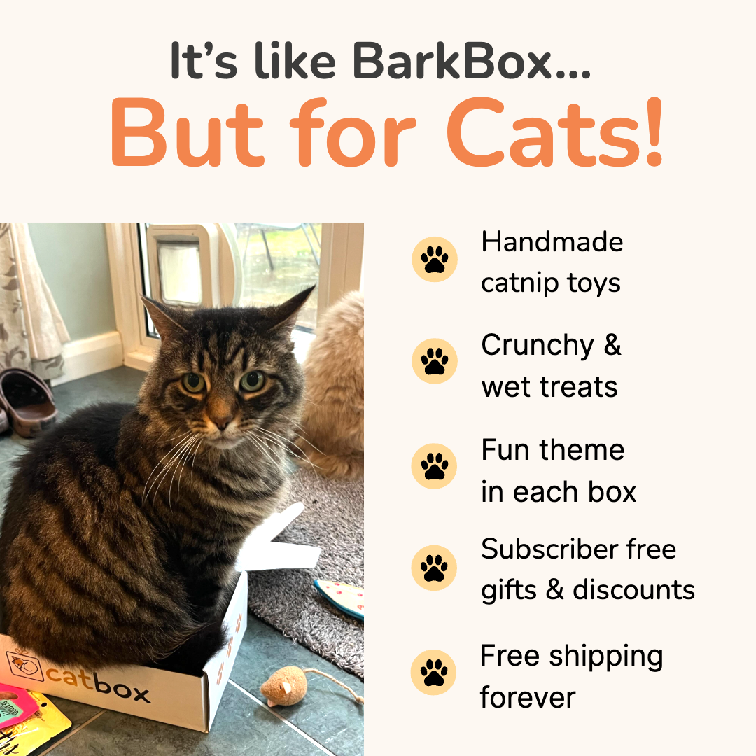 catbox Facebook ad