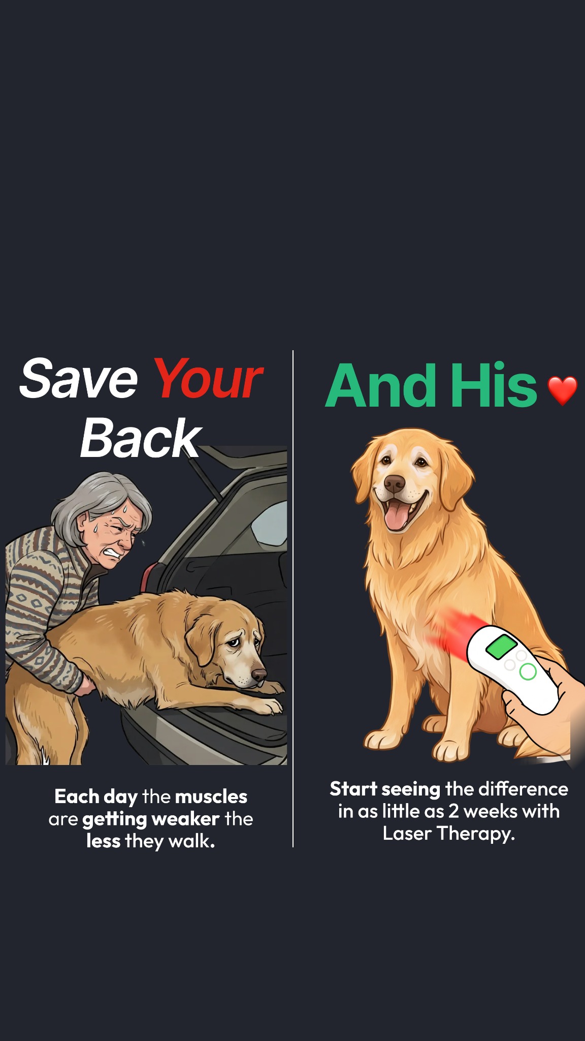 Helio Pet Facebook ad