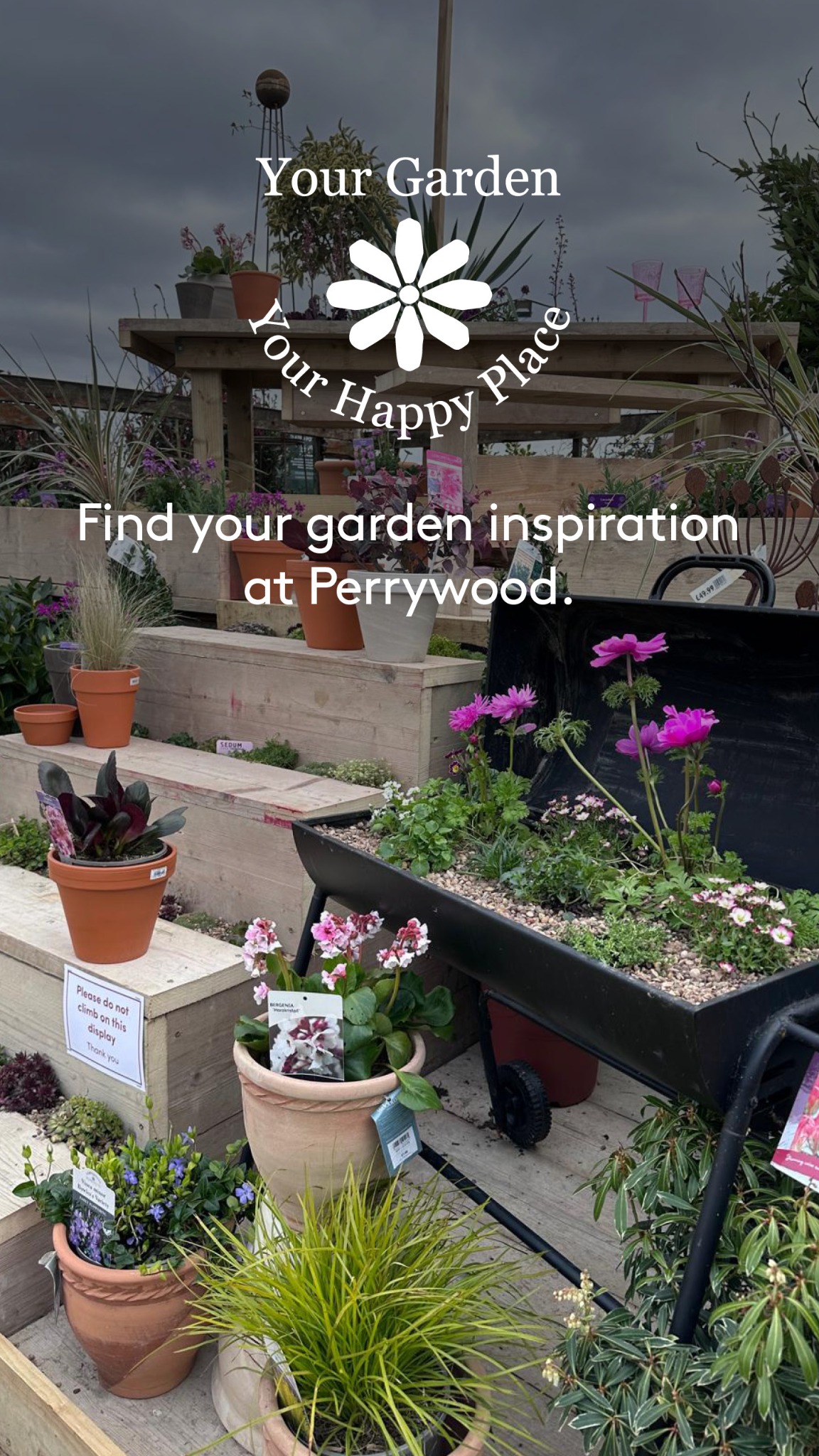 Perrywood Garden Centres Facebook ad from Jun 5, 2026
