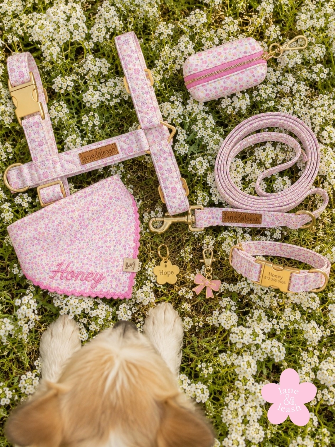 Lane&Leash Facebook ad